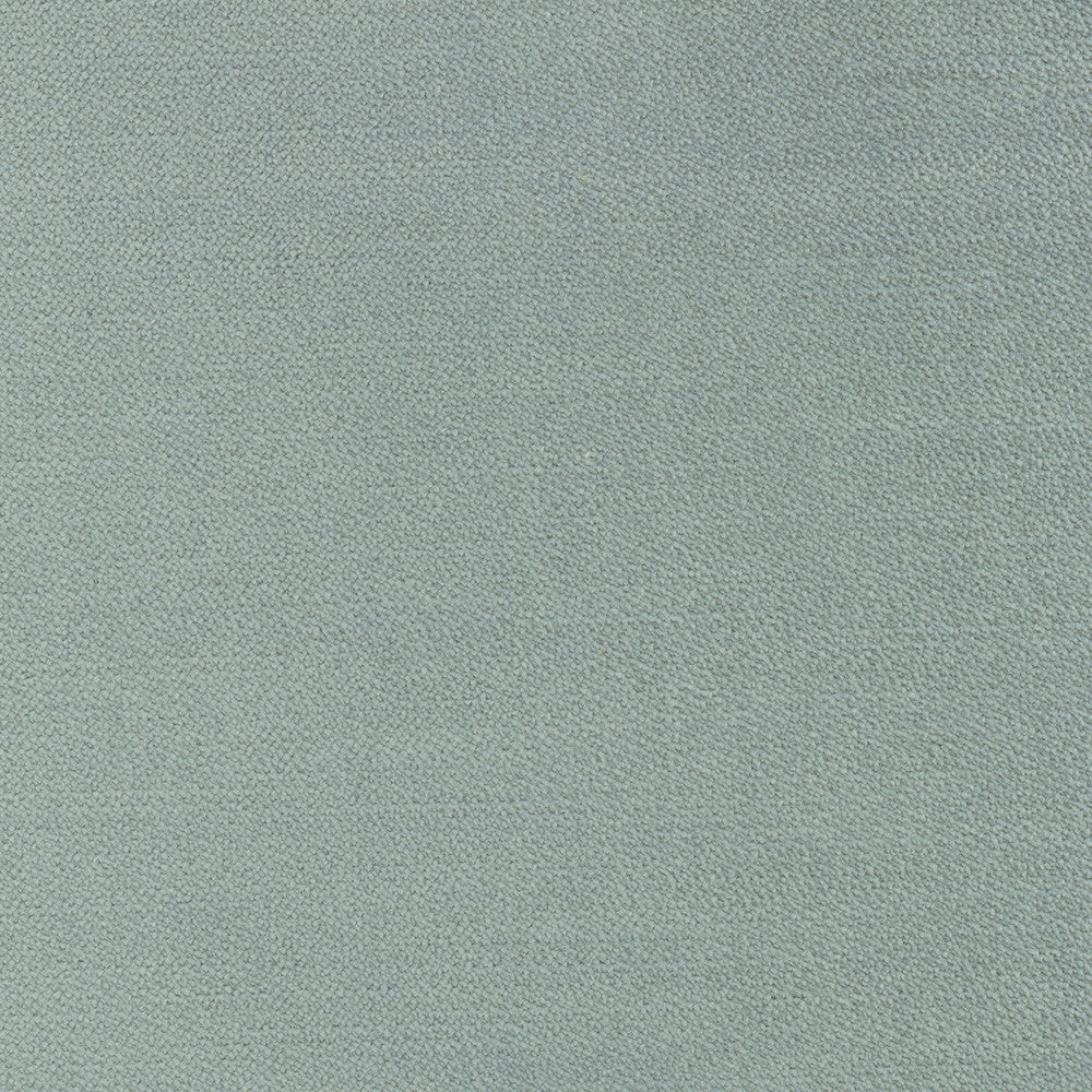 Regal Touch Lichen by Carole Designer Fabric Touch Of Luxury 100% Polyester Turkey 15,000 Wyzenbeek Double Rubs Horizontal: 0 and Vertical: 0 55 - Swanky Fabrics -