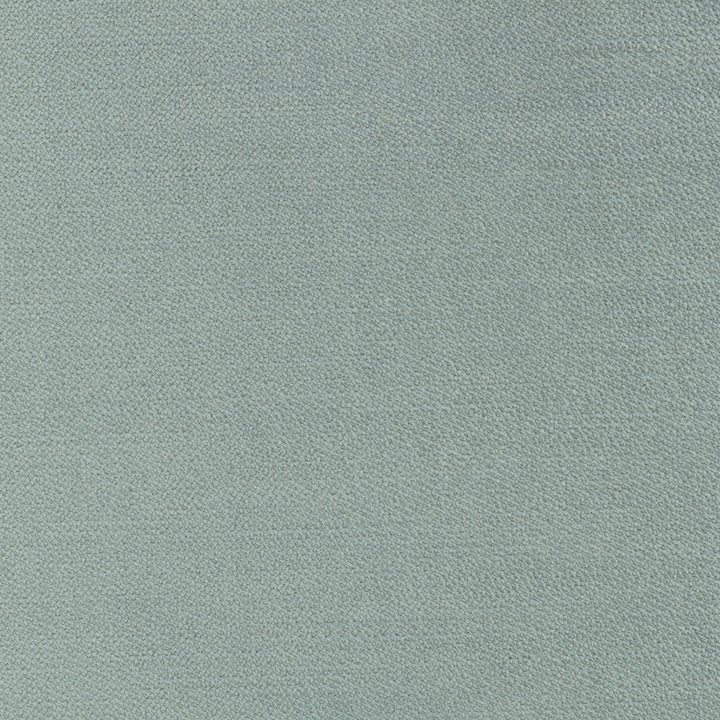 Regal Touch Lichen by Carole Designer Fabric Touch Of Luxury 100% Polyester Turkey 15,000 Wyzenbeek Double Rubs Horizontal: 0 and Vertical: 0 55 - Swanky Fabrics -
