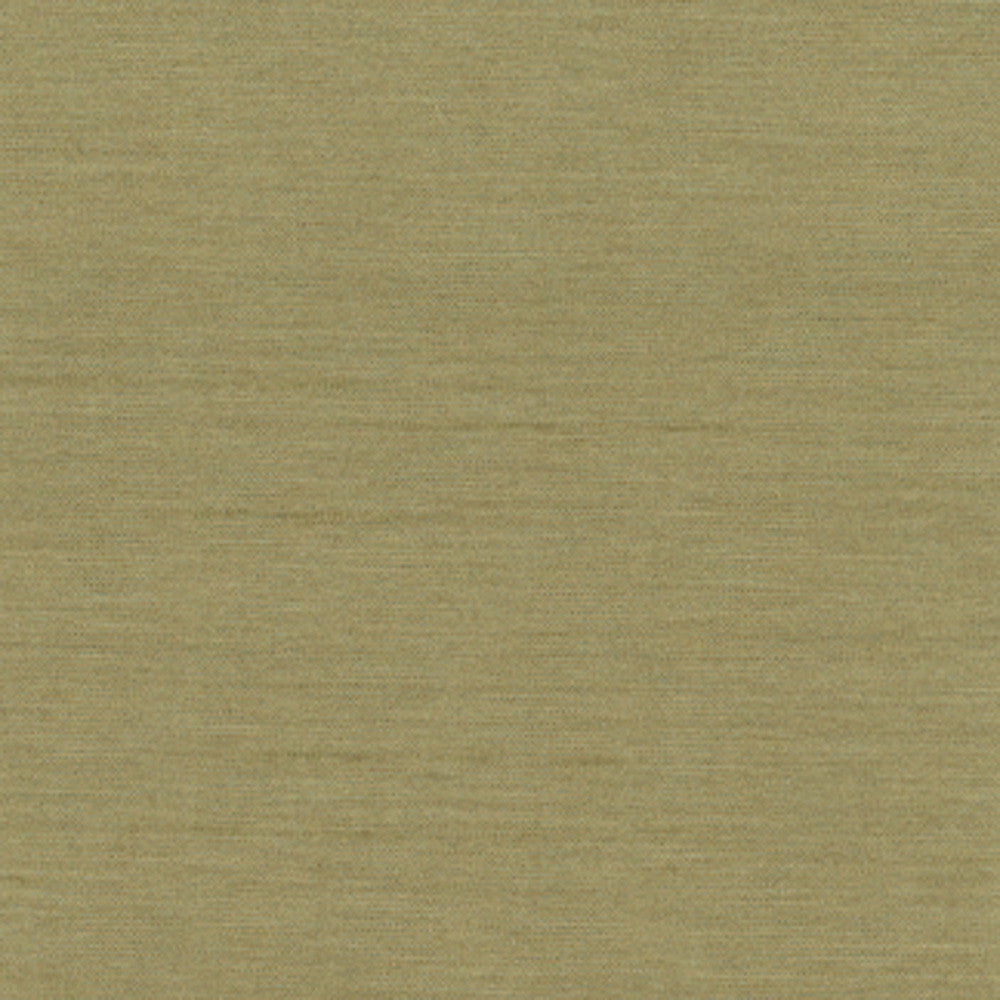 Northwind Sage by Carole Designer Fabric New Northwind Iv 100% Polyester India Passes 9,000 Double Rubs Wyzenbeek Horizontal: 0 and Vertical: 0 54 - Swanky Fabrics -