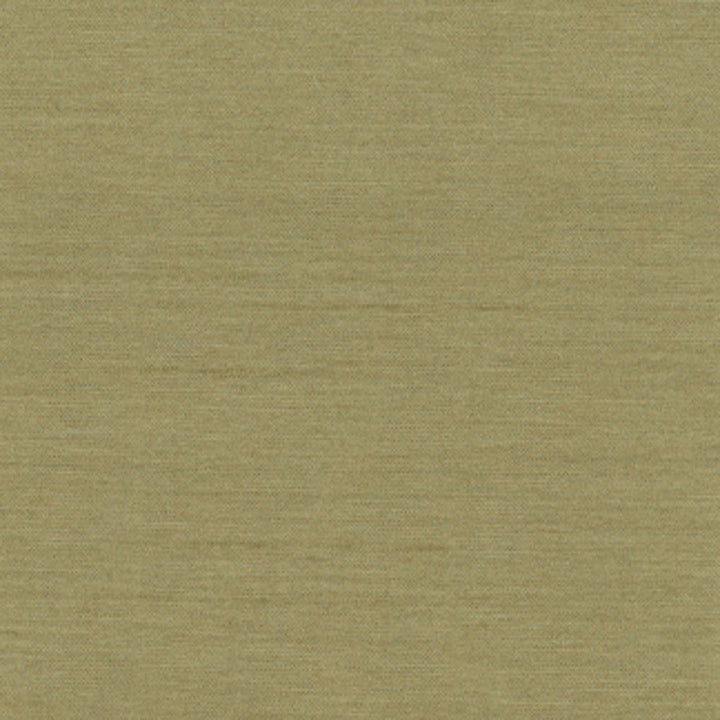 Northwind Sage by Carole Designer Fabric New Northwind Iv 100% Polyester India Passes 9,000 Double Rubs Wyzenbeek Horizontal: 0 and Vertical: 0 54 - Swanky Fabrics -