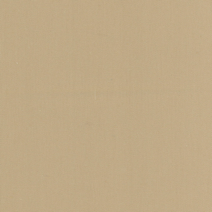 Daydreamer Khaki by Carole Designer Fabric Daydreaming 100% Cotton- Soil Release USA Passes 30,000 Double Rubs Wyzenbeek Horizontal: 0 and Vertical: 0 54 - Swanky Fabrics -