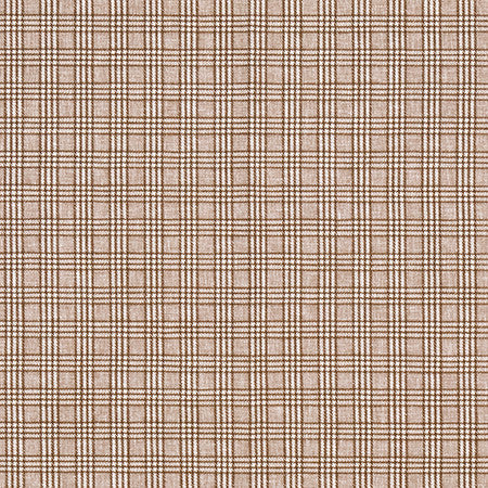 Newsworthy Acorn by Carole Designer Fabric Well Suited 51% Polyester, 49% Cotton 60,000 Wyzenbeek Double Rubs 1 1/8" V, 1 1/8" H 55" - Swanky Fabrics -