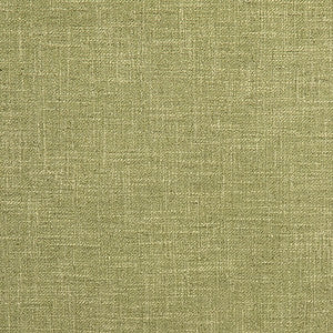 Carole Fabric Astounding Apple
