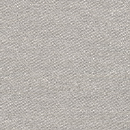Rumi Silver by Carole Designer Fabric Gala 100% Polyester India None 54" - Swanky Fabrics -