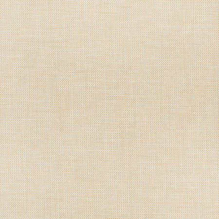 Glisten Blackout White by Carole Designer Fabric For The Window 100% Polyester- 3 Pass Fr Acrylic Backing Blackout India N/A </p><p>Repeat: None 54" - Swanky Fabrics -