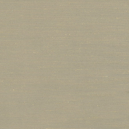 Rumi Almond by Carole Designer Fabric Gala 100% Polyester India None 54" - Swanky Fabrics -