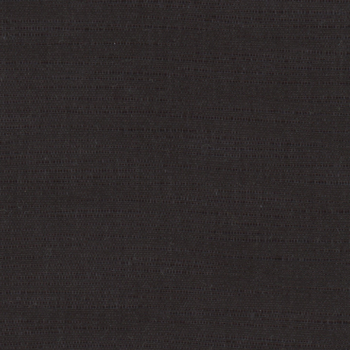 Athlete Black by Carole Designer Fabric Pewter 60% Cotton, 40% Polyester India Passes 50,000 Double Rubs Wyzenbeek Horizontal: 0 and Vertical: 0 55 - Swanky Fabrics -