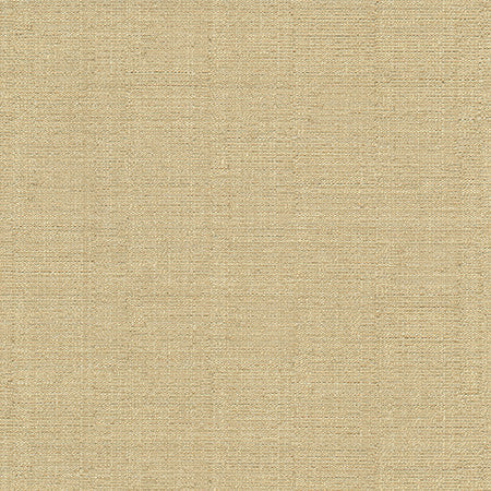 Cortland Eggnog by Carole Designer Fabric Gala 100% Polyester India 30,000 WYZENBEEK DOUBLE RUBS None 54.75" - Swanky Fabrics -