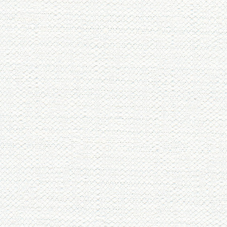 Harpoon White by Carole Designer Fabric Opal 100% Polyester India N/A </p><p>Repeat: None 54" - Swanky Fabrics -