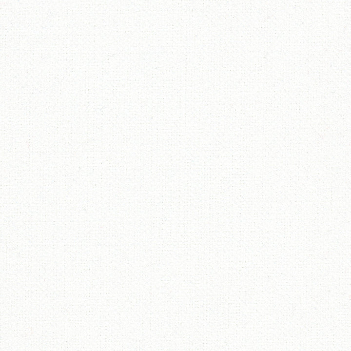 Estimator Optic White by Carole Designer Fabric Opal 100% Polyester China Passes 27,000 Double Rubs Wyzenbeek Horizontal: 0 and Vertical: 0 59 - Swanky Fabrics -