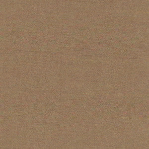 Carole Fabric Northwind Earth