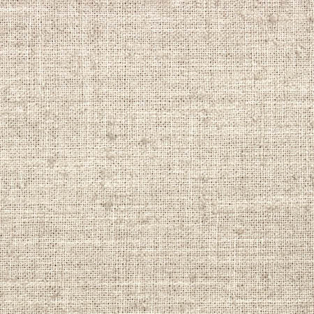 Consultant Natural by Carole Designer Fabric Toasted Almond 100% Polyester INDIA N/A None 54" - Swanky Fabrics -