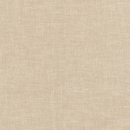 Aspire To Natural by Carole Designer Fabric Toasted Almond 65% Polyester, 25% Cotton, 10% Linen INDIA N/A None 54" - Swanky Fabrics -
