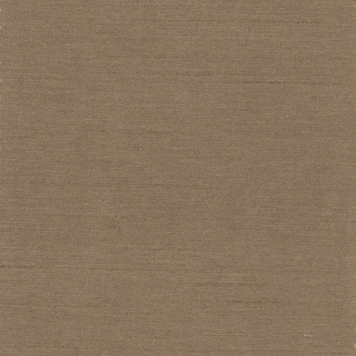 Northwind Mushroom by Carole Designer Fabric New Northwind Iv 100% Polyester India Passes 9,000 Double Rubs Wyzenbeek Horizontal: 0 and Vertical: 0 54 - Swanky Fabrics -