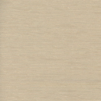 First Novel Wafer by Carole Designer Fabric STATIONERY 72% Rayon, 28% Polyester China Passes 30,000 Double Rubs Wyzenbeek Horizontal: 0" and Vertical: 0" 55" - Swanky Fabrics -
