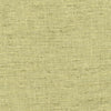 Carole Fabric Training Day Fern