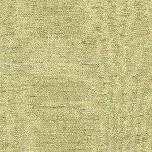 Carole Fabric Training Day Fern