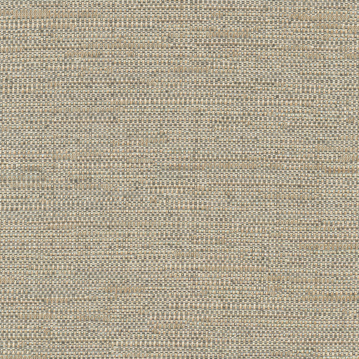 Cliff Top Bronze by Carole Designer Fabric Excursion 66% Polyester, 34% Cotton India 36,000 Wyzenbeek Double Rubs Horizontal: 0 and Vertical: 0 56 - Swanky Fabrics -