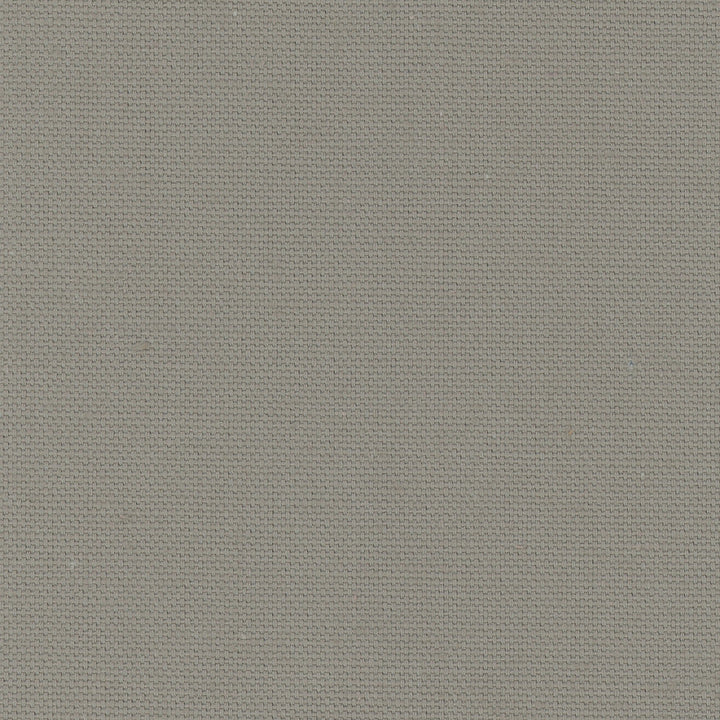 Daydreamer Sterling by Carole Designer Fabric Daydreaming 100% Cotton- Soil Release USA Passes 30,000 Double Rubs Wyzenbeek Horizontal: 0 and Vertical: 0 54 - Swanky Fabrics -