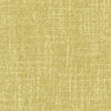 Carole Fabric Enthusiasm Cactus