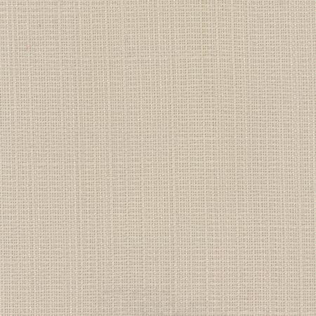 Narration Beach Sand by Carole Designer Fabric NARRATOR 100% Polyester Mexico Passes 30,000 Double Rubs Wyzenbeek Horizontal: None and Vertical: None 54" - Swanky Fabrics -