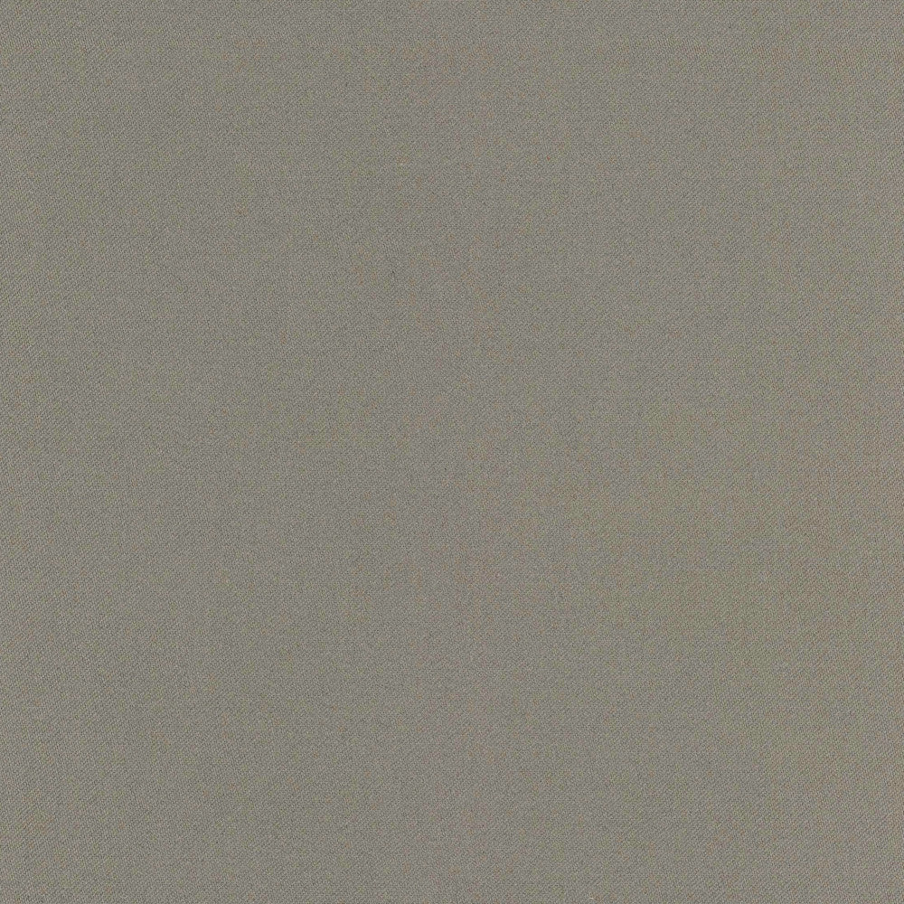 Comfort Shale by Carole Designer Fabric Daydreaming 100% Cotton India Passes 21,000 Double Rubs Wyzenbeek Horizontal: 0 and Vertical: 0 54 - Swanky Fabrics -
