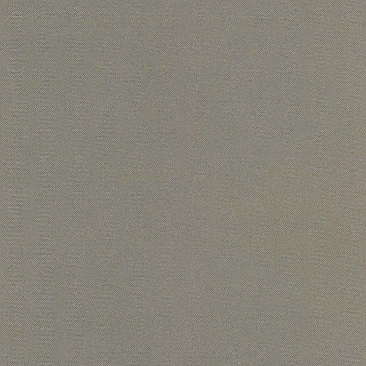 Comfort Shale by Carole Designer Fabric Daydreaming 100% Cotton India Passes 21,000 Double Rubs Wyzenbeek Horizontal: 0 and Vertical: 0 54 - Swanky Fabrics -