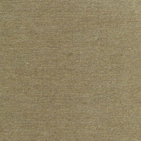 Total Dream Moss by Carole Designer Fabric First Class 100% Polyester-Softened TURKEY N/A None 54" - Swanky Fabrics -