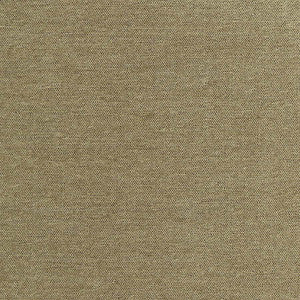 Carole Fabric Total Dream Moss