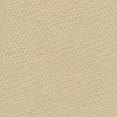 Daydreamer Sandstone by Carole Designer Fabric Daydreamer III,Daydreaming 100% Cotton, Soil & Stain Release USA Passes 30,000 Double Rubs Wyzenbeek NONE 54" - Swanky Fabrics -