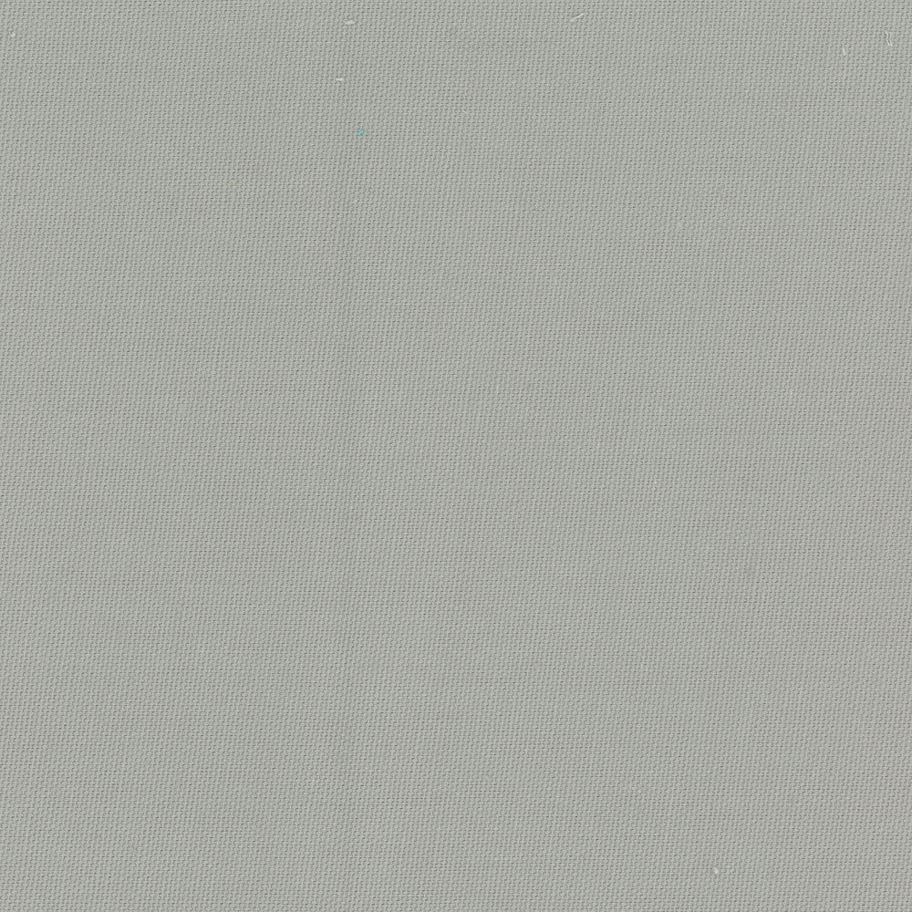 Daydreamer Dove by Carole Designer Fabric Daydreaming 100% Cotton- Soil Release USA Passes 30,000 Double Rubs Wyzenbeek Horizontal: 0 and Vertical: 0 54 - Swanky Fabrics -