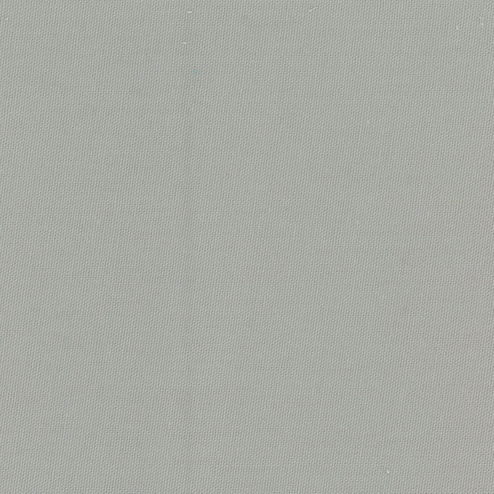 Daydreamer Dove by Carole Designer Fabric Daydreaming 100% Cotton- Soil Release USA Passes 30,000 Double Rubs Wyzenbeek Horizontal: 0 and Vertical: 0 54 - Swanky Fabrics -