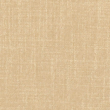 Enthusiasm Cornsilk by Carole Designer Fabric Toasted Almond 100% Polyester INDIA N/A None 54" - Swanky Fabrics -