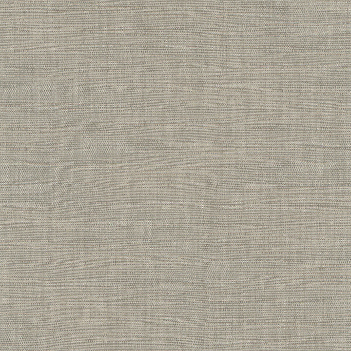 Athlete Slate by Carole Designer Fabric Pewter 60% Cotton, 40% Polyester India Passes 50,000 Double Rubs Wyzenbeek Horizontal: 0 and Vertical: 0 55 - Swanky Fabrics -