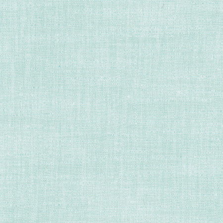 Athlete River by Carole Designer Fabric Celadon 60% Cotton, 40% Polyester India Passes 50,000 Double Rubs Wyzenbeek </p><p>Repeat: None 55" - Swanky Fabrics -