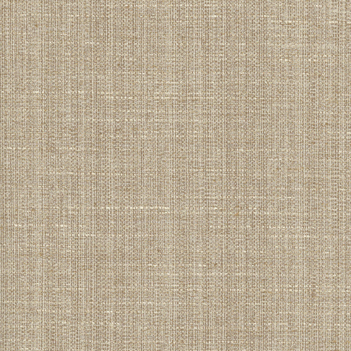 Rock Wall Shale by Carole Designer Fabric Chestnut 83% Polyester, 12% Cotton, 5% Rayon India N/A Horizontal: 0 and Vertical: 0 55 - Swanky Fabrics -
