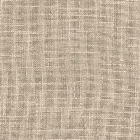 As Always Stone by Carole Designer Fabric See It Through 100% Polyester Turkey None 55.5" - Swanky Fabrics -
