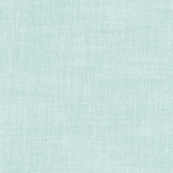 Athlete River by Carole Designer Fabric Celadon 60% Cotton, 40% Polyester India Passes 50,000 Double Rubs Wyzenbeek Horizontal: 0 and Vertical: 0 55 - Swanky Fabrics -