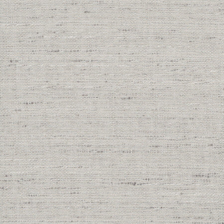 Foreseeable Platinum by Carole Designer Fabric Pewter 100% Polyester India None 54" - Swanky Fabrics -