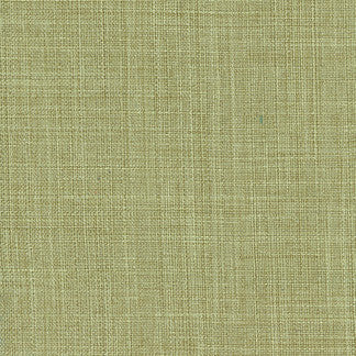 Sightsee Olive Tree by Carole Designer Fabric Sensibility 100% Polyester China Passes 30,000 Double Rubs Wyzenbeek NONE 55" - Swanky Fabrics -