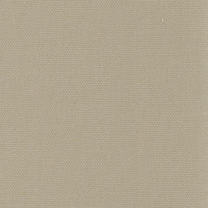 Carole Fabric Daydreamer Beach