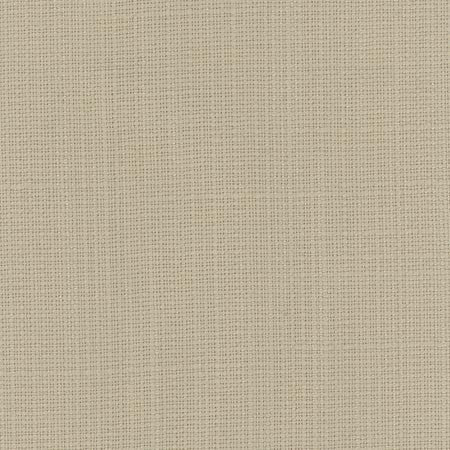Narration Celadon by Carole Designer Fabric NARRATOR 100% Polyester Mexico Passes 30,000 Double Rubs Wyzenbeek </p><p>Repeat: None 54" - Swanky Fabrics -