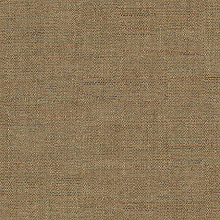 Cortland Coffee by Carole Designer Fabric Gala 100% Polyester India 30,000 WYZENBEEK DOUBLE RUBS None 54.75" - Swanky Fabrics -