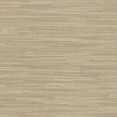 Suntan Putty by Carole Designer Fabric Excursion 95% Polyester, 5% Cotton India None 56.5" - Swanky Fabrics -