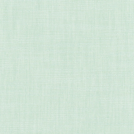 Athlete Seafoam by Carole Designer Fabric Celadon 60% Cotton, 40% Polyester India None 55" - Swanky Fabrics -