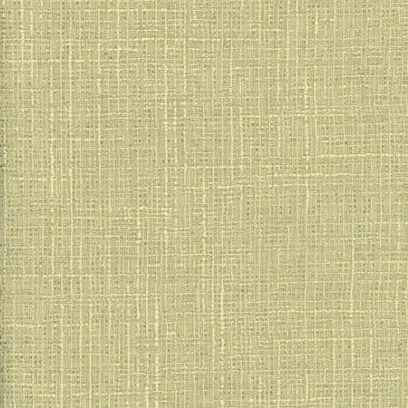 Adjuster Pear by Carole Designer Fabric Laguna 62% Polyester, 32% Cotton, 6% Viscose INDIA None 54" - Swanky Fabrics -