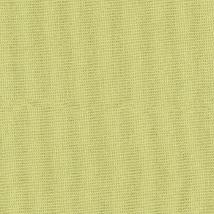 Daydreamer Pear by Carole Designer Fabric Daydreaming 100% Cotton- Soil Release USA Passes 30,000 Double Rubs Wyzenbeek Horizontal: 0 and Vertical: 0 54 - Swanky Fabrics -