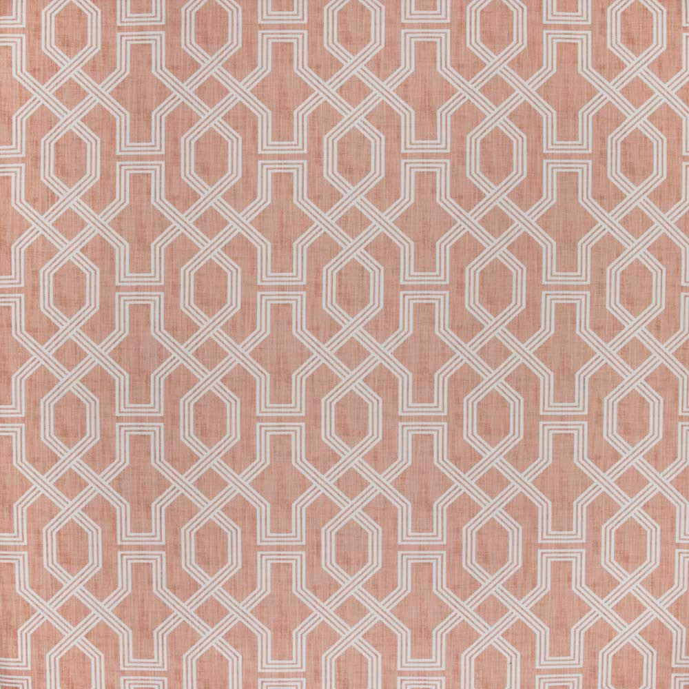 Fresh Spin Cameo by Carole Designer Fabric Summer Garden 85% Cotton, 15% Rayon USA Passes 60,000 Double Rubs Wyzenbeek Horizontal: 9 and Vertical: 85 54 - Swanky Fabrics -