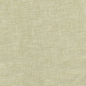 Carole Fabric Aspire To Sage