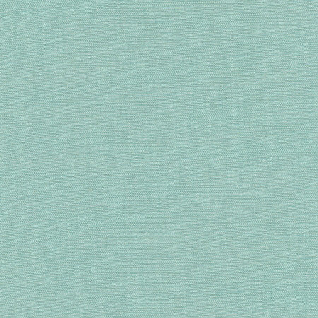 Athlete Spa by Carole Designer Fabric Celadon 60% Cotton, 40% Polyester India Passes 50,000 Double Rubs Wyzenbeek </p><p>Repeat: None 55" - Swanky Fabrics -
